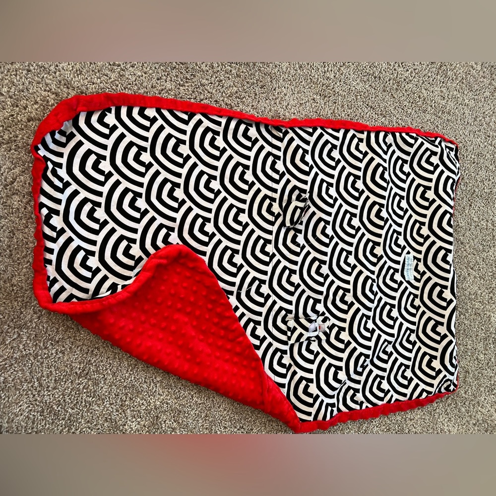 Pumpkin seat cover